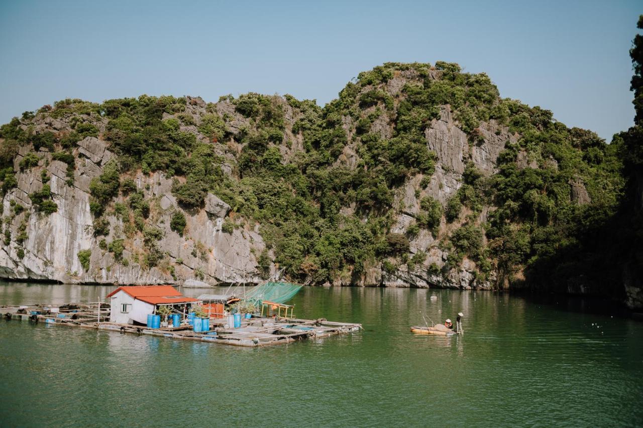Cat Ba Bay Cruises Hotel Dong Khe Sau Buitenkant foto